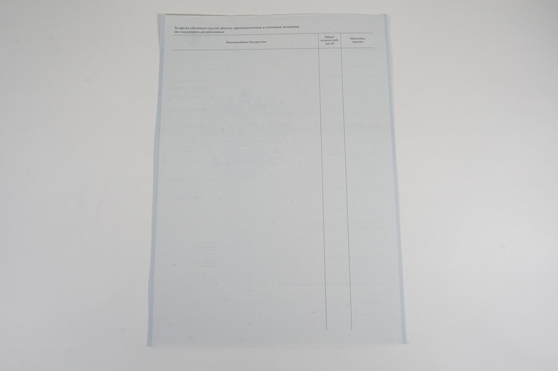 Диплом о начальном образовании 2007-2009 годов в Новороссийске Диплом о начальном образовании 2007-2009 годов в Новороссийске